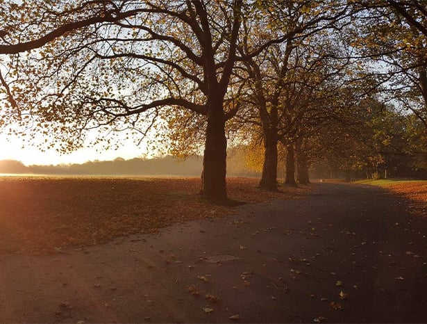 Sefton Park, Liverpool